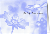 Grandparents Day Cards -- A Flower for Grandmother card