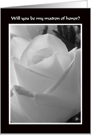 Matron of Honor Card -- Black and White Rose Design card