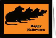 Halloween Cards -- Black Cats card