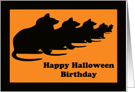 Happy Birthday Halloween Cards -- Black Cats card