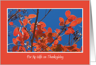 Thanksgiving Cards for Wife -- Autumn Leaves card