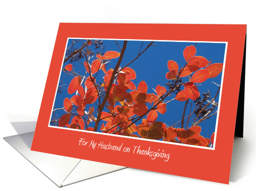 Thanksgiving Cards for Husband -- Autumn Leaves card (269965)