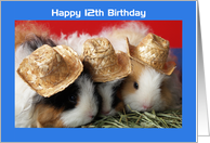 Guinea Pig 12th Birthday Card