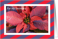 Christmas Secretary Card -- Poinsettia card