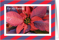 Parents Christmas Card -- Poinsettia card
