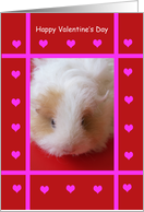 Kid Valentine -- Guinea Pig Valentine Card