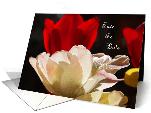 Tulips Save the Date card (370671)