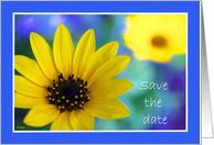 Summer Wedding Save the Date Card