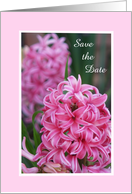 Pink Hyacinth Save the Date Announcement card