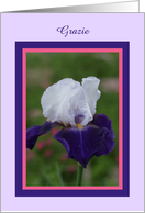 Iris Thank You Card In Italian -- Grazie card