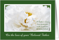 Sympathy Card for Loss of Father card