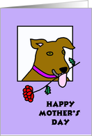 Mothers Day Card from Dog -- A Rose from your Brown Pooch card