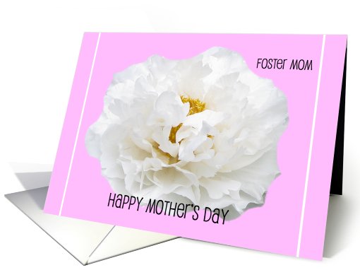 Foster Mom Mothers Day Card -- Gorgeous White Peony card (413106)