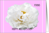 Friend Mothers Day Card -- Gorgeous White Peony card