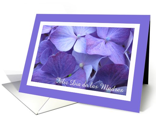 Spanish Happy Mothers Day Card -- Gorgeous Purple Hydrangea card