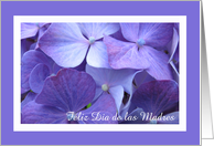 Spanish Happy Mothers Day Card -- Gorgeous Purple Hydrangea card