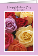 Beautiful Roses from your Son -- Mothers Day Card