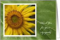 Funeral Thank You Card -- Thank You for Your Sympathy Sunflower card