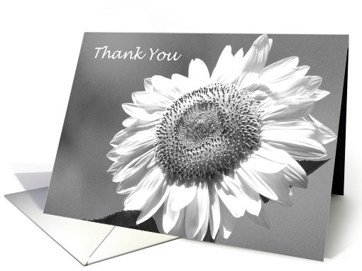 Wedding Party Thank You Card -- Black and White Mammoth Sunflower card