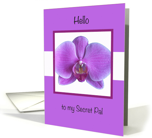 Secret Pal Thinking of You Purple Orchid card (500340)