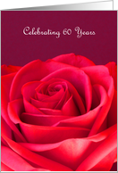 60th Birthday Party Invitation Card -- Celebrating 60 Years with a Red Rose card