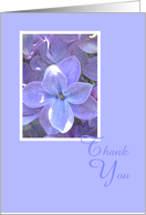 Sympathy Funeral Thank You Card -- Lilacs card