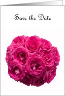 Pink Roses on White Save the Date Card