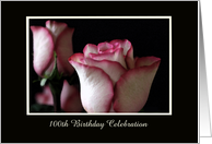 100th Birthday Party Invitation -- A Beautiful Rose card