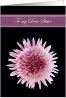 Sister Will you be my Maid of Honor Cards -- Gorgeous Gerbera card