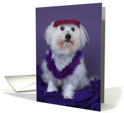 Red Hat Birthday Card -- Cute Dog card (82706)