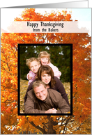 Gorgeous Autumn Tree Thanksgiving Photo Card