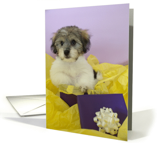 Puppy Present Birthday Card for Girl card (86549)