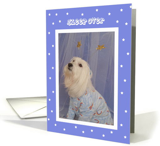 Sleepover Doggie Invitation card (89945)