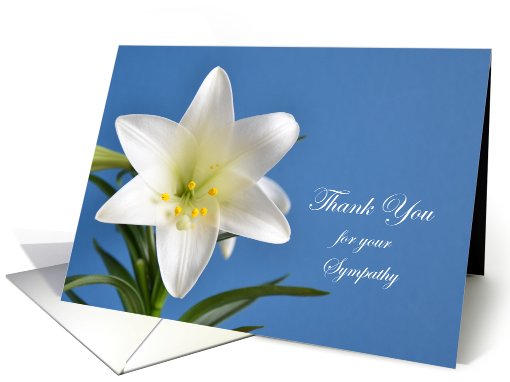 Sympathy Thank You Card -- Lily on Blue card (962841)