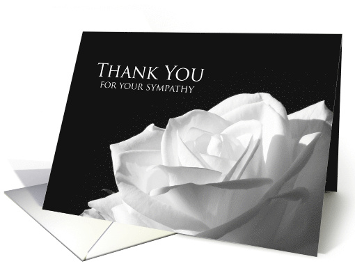 Sympathy Thank You White Rose card (967803)