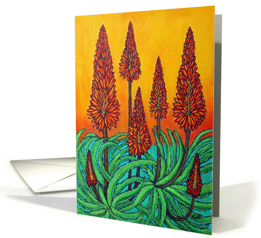 South African Fireball, Any Occasion, Blank Inside card (1384464)