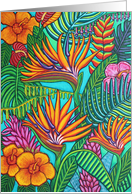 Tropical Gems, Blank Greeting card