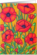 Poppies -...