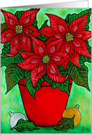 Poinsettia season card