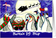 Santa’s 1st Stop, North Pole, Penguins card