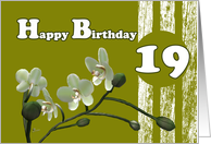 Happy 19th Birthday, White orchids on green card