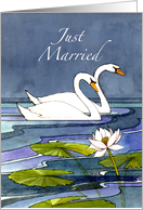 Midnight Swans Just Married - Mr & Mr card