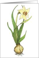 Earth Day Daffodil card