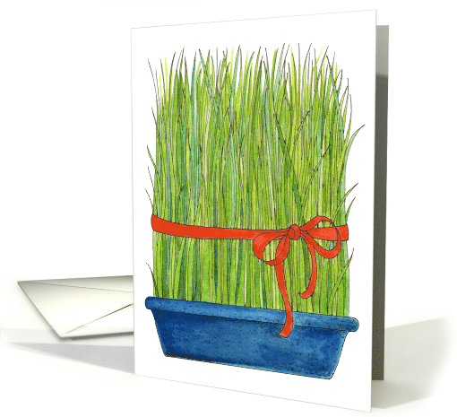 Wheat Grass Persian New Year card (139420)