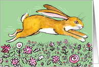 Hoppy Easter Spring Bunny card