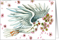 Spring Dove - Communion card