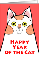 Year of the Cat Orange Patch Kitty Tet card