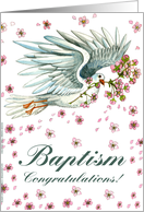 Baptism Congratulations Dove card
