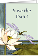 Dragonfly Pond, Save the Date card