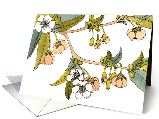 Birthday with Flowering Cherry Blossom Branch card (426834)